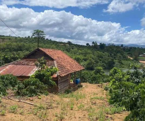 Sóng cắt lỗ farmstay vì dịch bắt đầu sôi động: Có trang trại giảm giá tới 50%