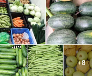 Bỏ lương 15 triệu ra làm riêng, suốt năm trời không ai tin tôi thành công