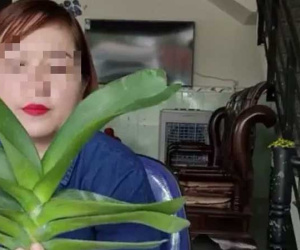 Bình Định: Một giáo viên livestream mua bán lan 26,5 tỉ đồng chưa đăng ký thuế
