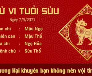Tử vi thứ 3 ngày 07/09/2021 của 12 con giáp: Dậu kế hoạch đổ bể, Dần nhân duyên tốt đẹp