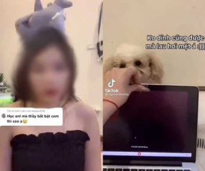 TikToker nổi tiếng dạy học sinh cách đối phó khi bị bắt bật cam học online, thầy giáo tâm lý phản ứng cực gắt