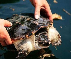 6 cách hóa giải vận xui hiệu quả, dọn đường nghênh tài lộc, ai không biết thiệt cả đời