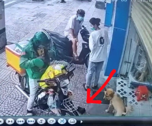 Anh Grab đánh rơi ví khi đang giao hàng, phản ứng của những người xung quanh khiến dân mạng phẫn nộ