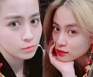 Thêm 'hint' chắc cú Hoàng Thuỳ Linh và Gil Lê sống chung nhà, 1 chi tiết là biết chăm nhau chu đáo cỡ nào!