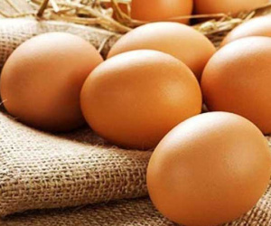 Mua trứng về tuyệt đối không làm điều này, đây là sai lầm nhiều bà nội trợ đang mắc phải