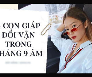 Trong 30 ngày tới sẽ có 3 con giáp tạm biệt xui xẻo, sự nghiệp bứt phá hơn người, tiền đếm mỏi tay
