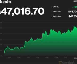 Bitcoin bất ngờ tăng mạnh thoát đáy, đầu cơ tranh thủ bán tháo
