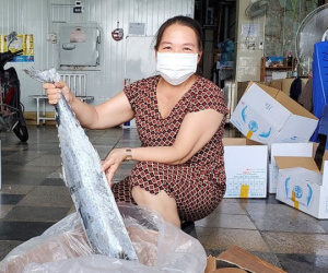 Hàng nghìn tấn tôm, cá ế đầy kho: chủ hàng lao đao lo phá sản