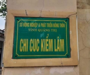 Chi cục Kiểm lâm sai phạm tiền tỷ: Chuyển hồ sơ sang cơ quan điều tra