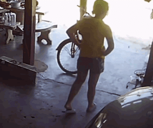 Video: Bị rắn hổ mang phun nọc tấn công, người phụ nữ hoảng sợ la hét