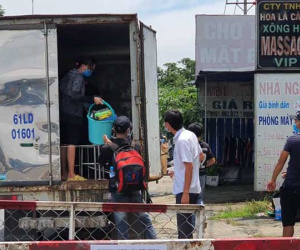 CSGT TP HCM phát hiện 6 F0 trong thùng xe mã QR 'luồng xanh'