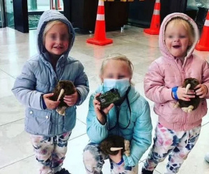 Đi làm về, ông bố chết lặng khi nhìn thấy cả 3 cô con gái đều bị giết, càng bàng hoàng khi biết danh tính kẻ ra tay tàn nhẫn