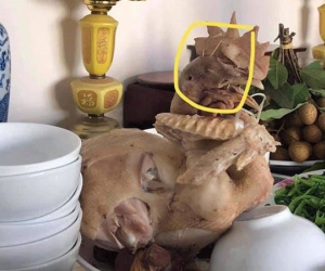 Những pha nấu ăn đi vào lòng đất khiến tình cảm vợ chồng suýt 'rạn nứt', xem tới đâu là bật cười thành tiếng tới đó