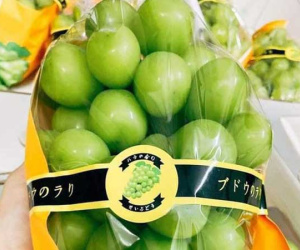 Nho sữa hàng Tàu đổ về chợ, giá rẻ chưa từng có