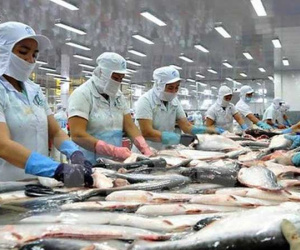 Thế mạnh tỷ USD Việt Nam lao dốc, những con số cảnh báo