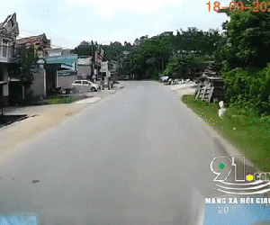'Nổi da gà' nhìn cảnh em bé lao ra đường, suýt bị ô tô đâm trúng