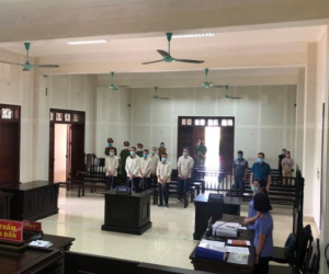 52 năm tù cho nhóm bắt trộm hàng trăm con lợn mang đi bán