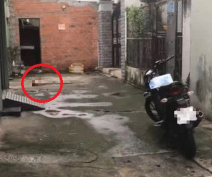 Nóng: Nghi án kẻ ngáo đá chém người đàn ông lìa đầu ở quận 7