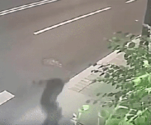 Video: Giật túi lương hưu, tên cướp không ngờ gặp phải 'cụ già gân'