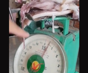 Người đàn ông phanh phui thủ thuật gian lận của một cửa hàng bán đồ đông lạnh từ nửa ký thành 1 ký khiến dân mạng bất ngờ