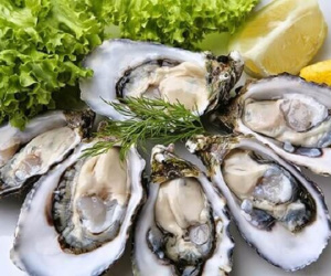 Quảng Ninh: Người đàn ông tử vong do ăn hàu sống