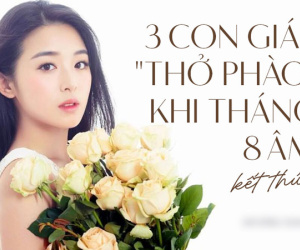 Top 3 con giáp phất lên như diều gặp gió sau tháng 8 âm: Khó khăn qua hết, càng cuối năm càng giàu có