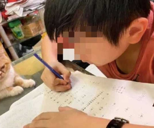Học sinh tiểu học tả gia đình không khác gì sở thú khiến dân mạng cười điên đảo, bố khoái chí tự hào nhưng mẹ thì chỉ muốn 'độn thổ'