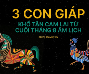 Cuối tháng 8 âm lịch khổ tận cam lai, 3 con giáp tìm được cơ hội làm lại từ đầu, những tháng cuối năm dễ dàng thăng hoa phát tài