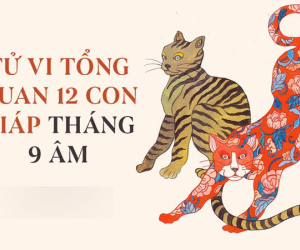 Tổng quan tử vi 12 con giáp trong tháng 9 âm: Hầu hết đều thuận lợi, suôn sẻ, đặc biệt là 2 con giáp có cát tinh chiếu rọi