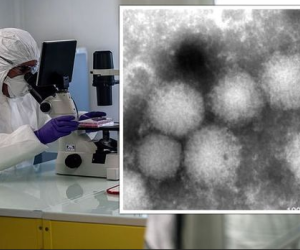 Nhật Bản cảnh báo virus mới có thể lây sang người