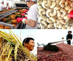 Lĩnh vực vượt công nghiệp và dịch vụ, trở thành 'bệ đỡ' cho kinh tế Việt Nam trong đại dịch
