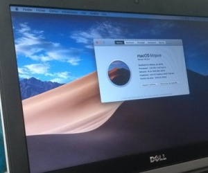 Steve Jobs từng nhiều lần cố thuyết phục Dell bỏ Windows để chuyển sang Mac OS