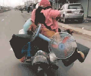 Về quê tránh dịch, cặp vợ chồng bất chấp nguy hiểm chở đồ đạc kín xe và bất ngờ nhất là không quên 5 'người bạn trung thành' này!