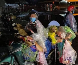 Hành trình về Cà Mau đầy đau lòng của 15 chú chó: Chính quyền địa phương xác nhận đã tiêu huỷ