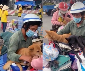 Ồn ào vụ tiêu huỷ 15 con chó theo chủ về quê tránh dịch: Động vật có khả năng là vật trung gian lây Covid-19 cho người không?
