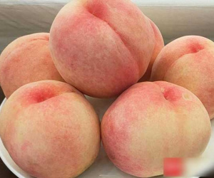 Hàng Tàu về chợ: Cua quý tộc giảm giá, đào tuyết đắt khách