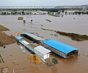 Xe bus lao khỏi cầu rơi xuống sông giữa lũ lớn, 13 người chết
