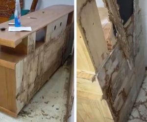 Nhà mới xây 'biến dạng', hư hỏng nặng sau 4 tháng giãn cách, gia chủ sững sờ khi biết 'hung thủ'