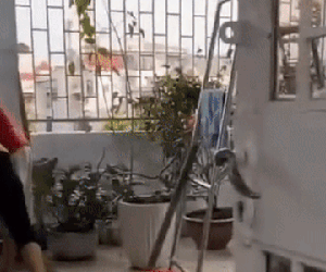 Xôn xao clip Hồ Văn Cường cùng mẹ cặm cụi lau dọn nơi ở mới sau khi rời khỏi nhà Phi Nhung?