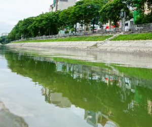Cận cảnh dòng nước xanh ngắt hiếm thấy tại sông Tô Lịch, cá bơi 'nhộn nhịp' hàng đàn