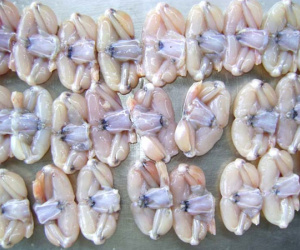 EU cảnh báo đùi ếch, bưởi Việt Nam vi phạm an toàn thực phẩm