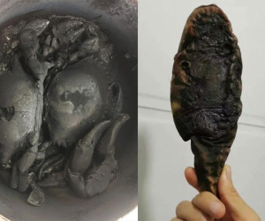 Vì không đáp ứng 'yêu cầu giữa đêm' của chồng, vợ lâm vào cơn ác mộng khó tả, đến khi nhìn thứ kinh hoàng trên đĩa mới choáng váng