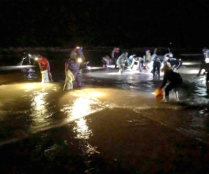 Hàng trăm người mang đèn pin đi vớt 'lộc trời' sau bão số 8