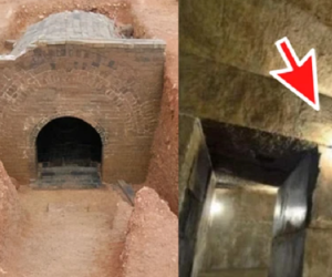 Bước vào mộ cổ 600 tuổi, chuyên gia chết đứng thấy quan tài lơ lửng trên không, các ngọn đèn tự bật sáng, bí mật vi diệu ẩn sau là gì?
