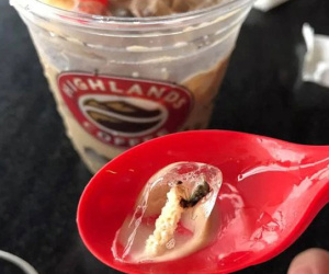 Khách tìm thấy sinh vật lạ trong cốc nước của một thương hiệu nổi tiếng, dân tình tranh cãi ỏm tỏi xem trách nhiệm thuộc về ai?