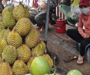 Sầu riêng 'đứt lứa', giá cao