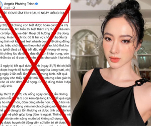Đăng tải bài viết giun đất có thể chữa khỏi Covid-19, Angela Phương Trinh bị xử phạt