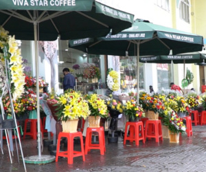 TP.HCM dịp 20/10: Hoa vắng khách, đổ xô tặng rau răm, hành lá, tía tô