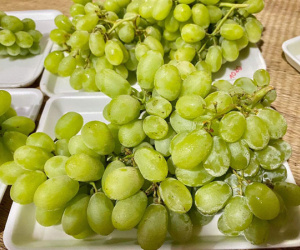 Thêm 2 loại nho Trung Quốc siêu giòn ngọt, giá chỉ từ 27.000 đồng/kg gây sốt, tiểu thương 'ém' nguồn gốc để 'đi' nhiều hàng