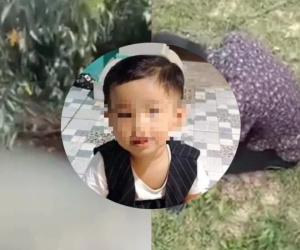 Vụ tìm thấy thi thể bé trai 2 tuổi ở Bình Dương: Đội tìm kiếm từng 20 lần rà soát đoạn suối nơi phát hiện cháu bé